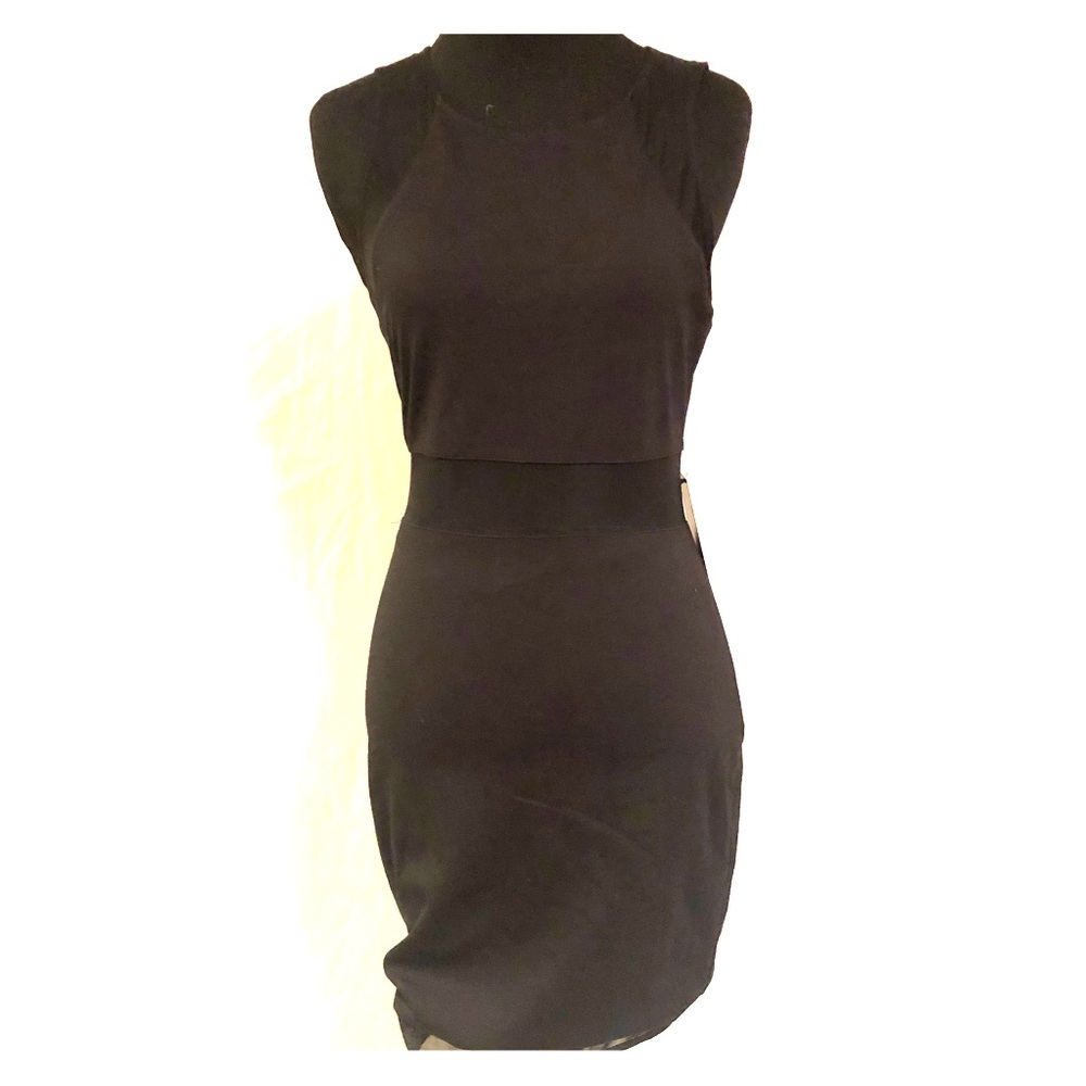 NWT Express Sexy Bodycon Dress